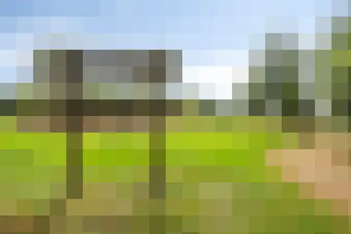 Trombonestraat 6 Beek en Donk thumbnail 58