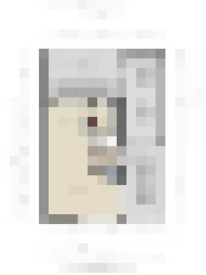 Trombonestraat 6 Beek en Donk thumbnail 65
