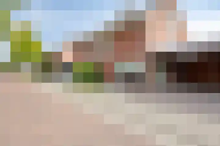 Trombonestraat 6 Beek en Donk thumbnail 7