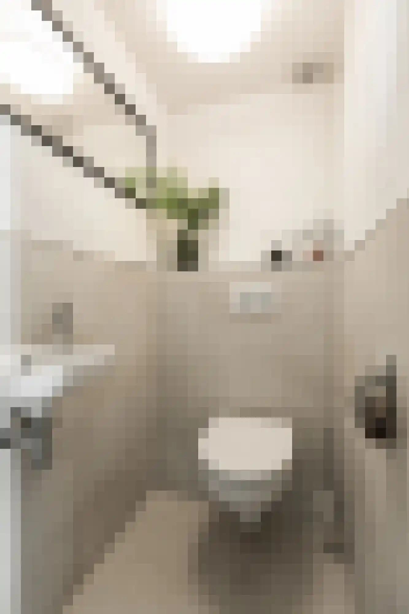 Trombonestraat 8 Duiven thumbnail 10