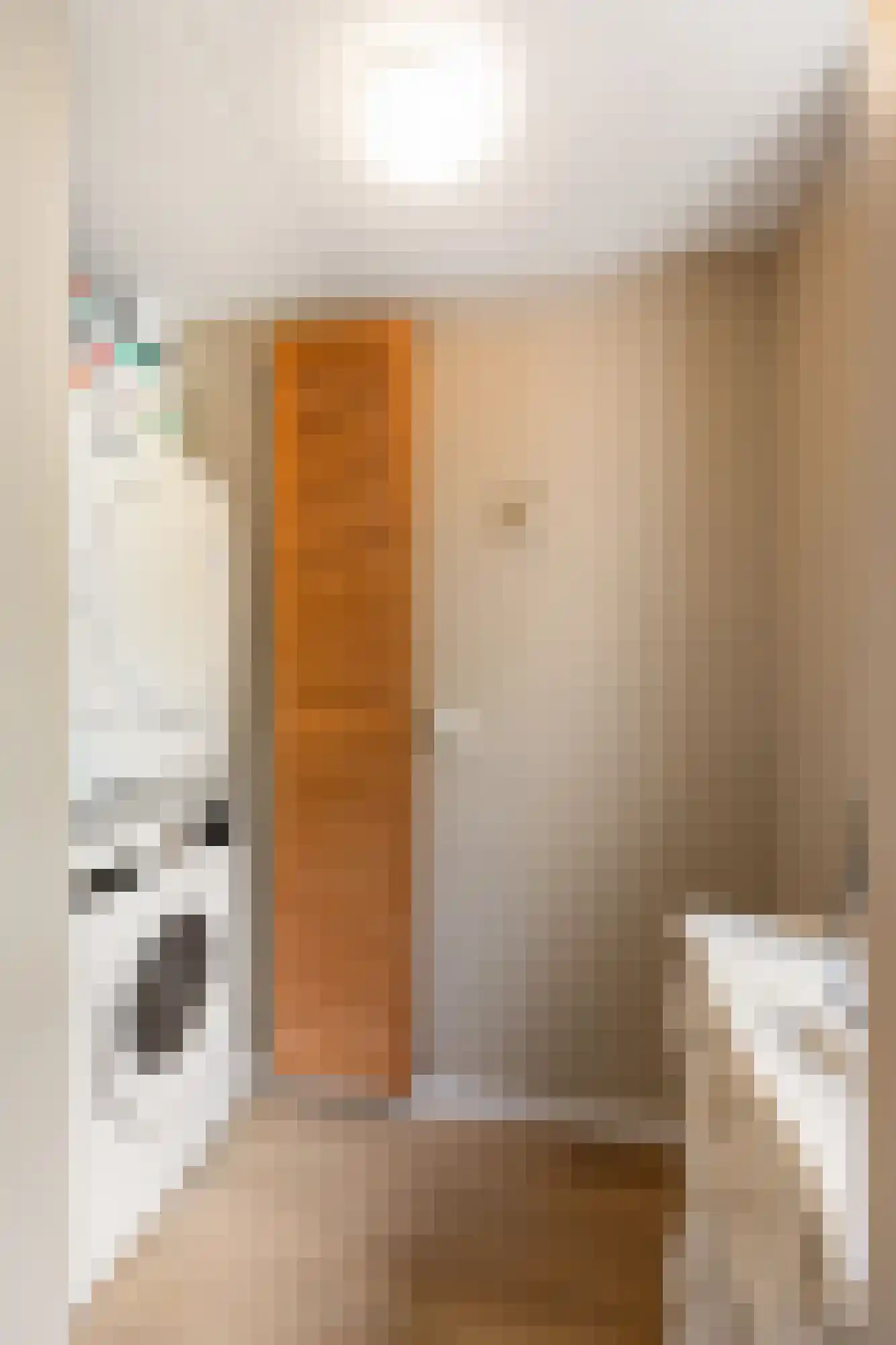 Trombonestraat 8 Duiven thumbnail 11