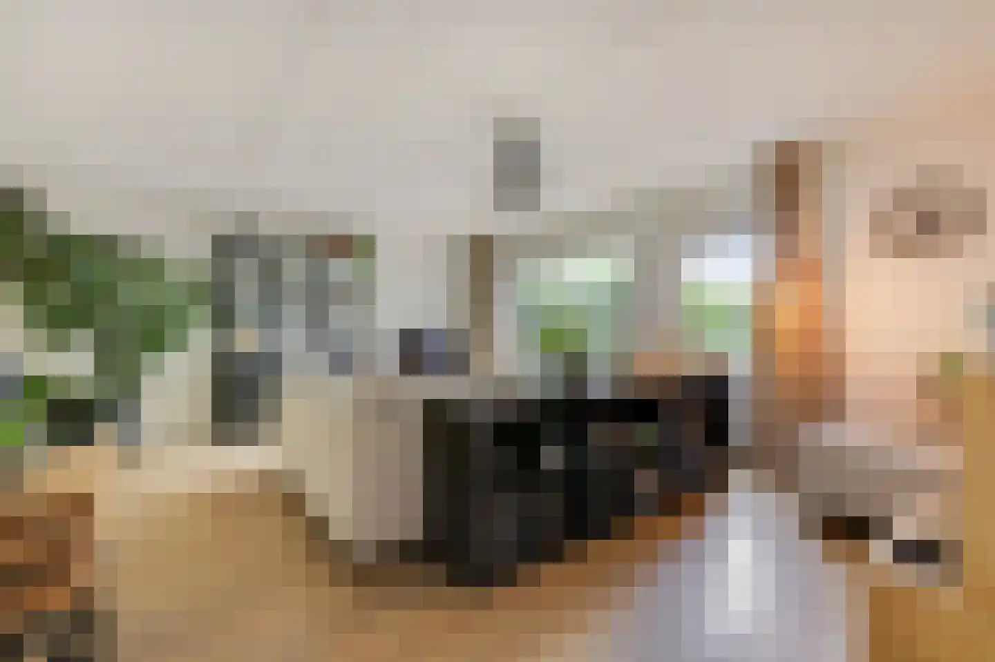 Trombonestraat 8 Duiven thumbnail 13