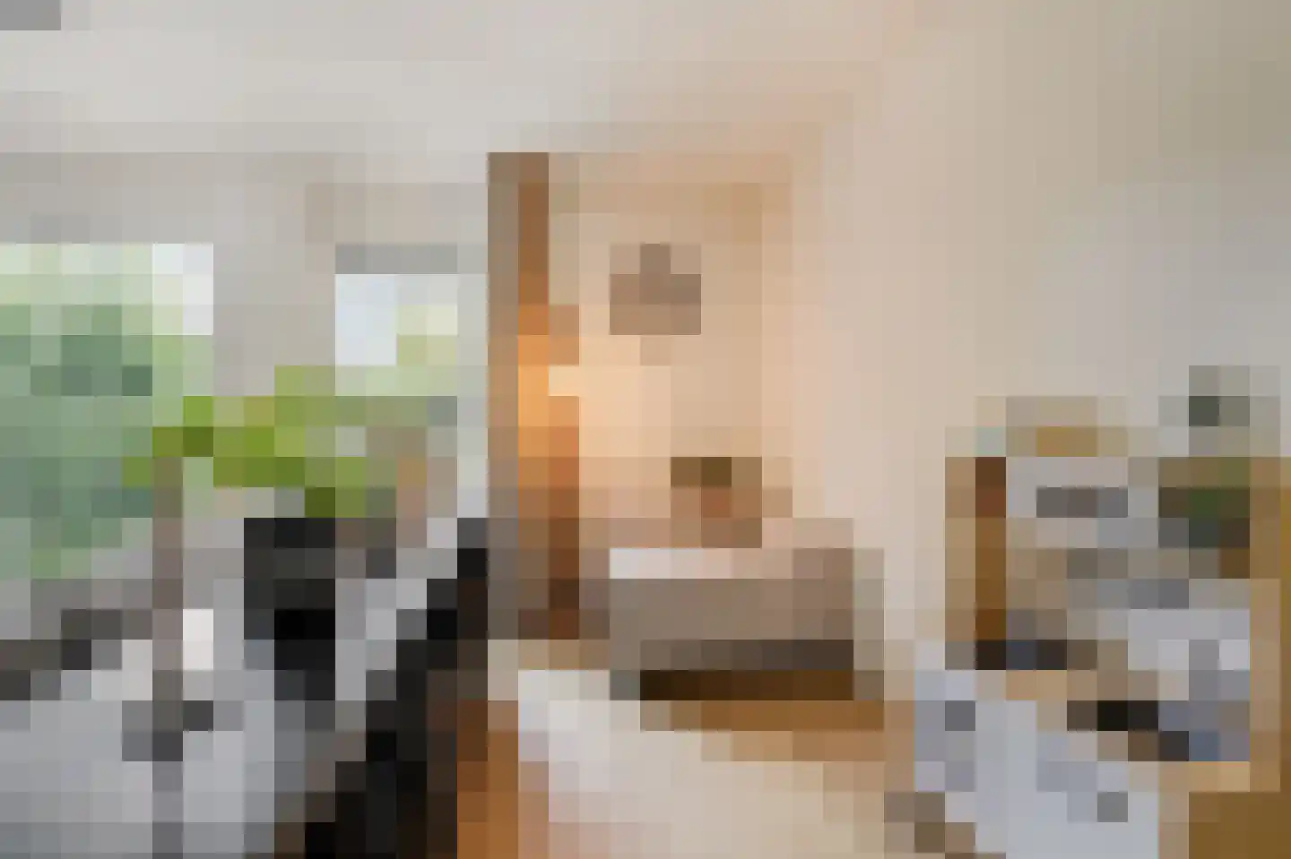Trombonestraat 8 Duiven thumbnail 14