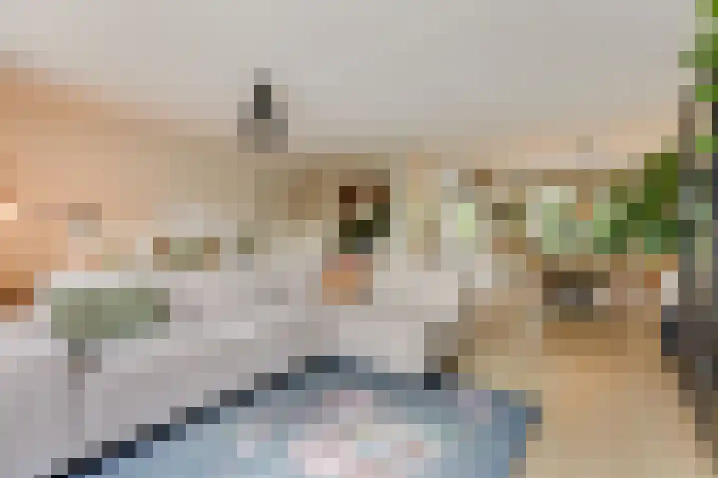 Trombonestraat 8 Duiven thumbnail 16
