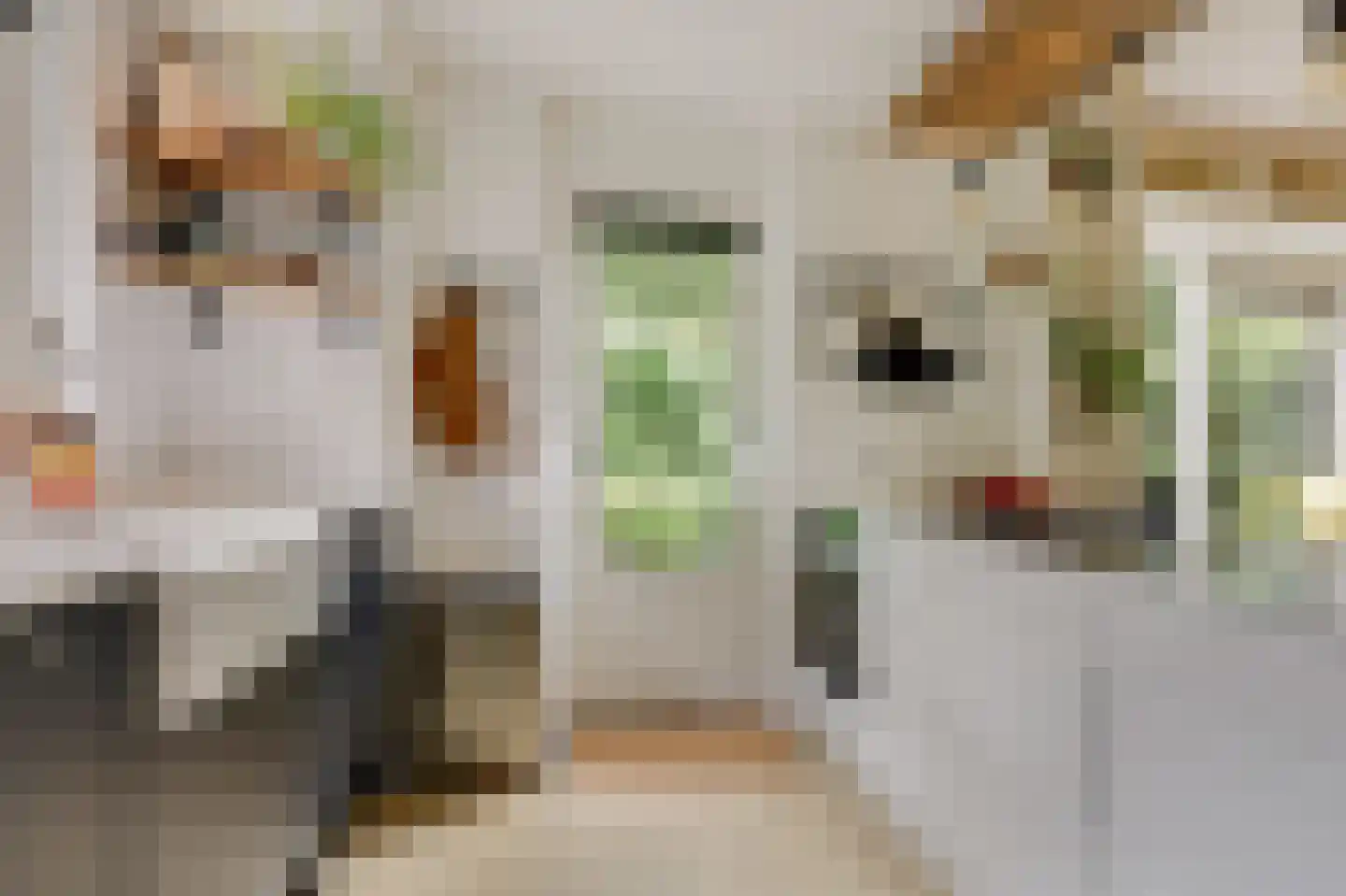 Trombonestraat 8 Duiven thumbnail 21