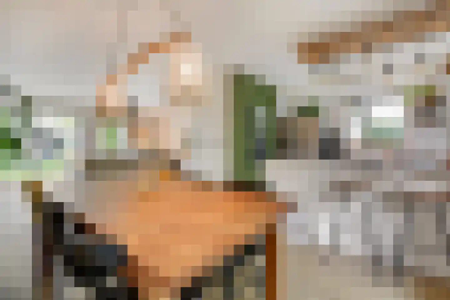 Trombonestraat 8 Duiven thumbnail 24