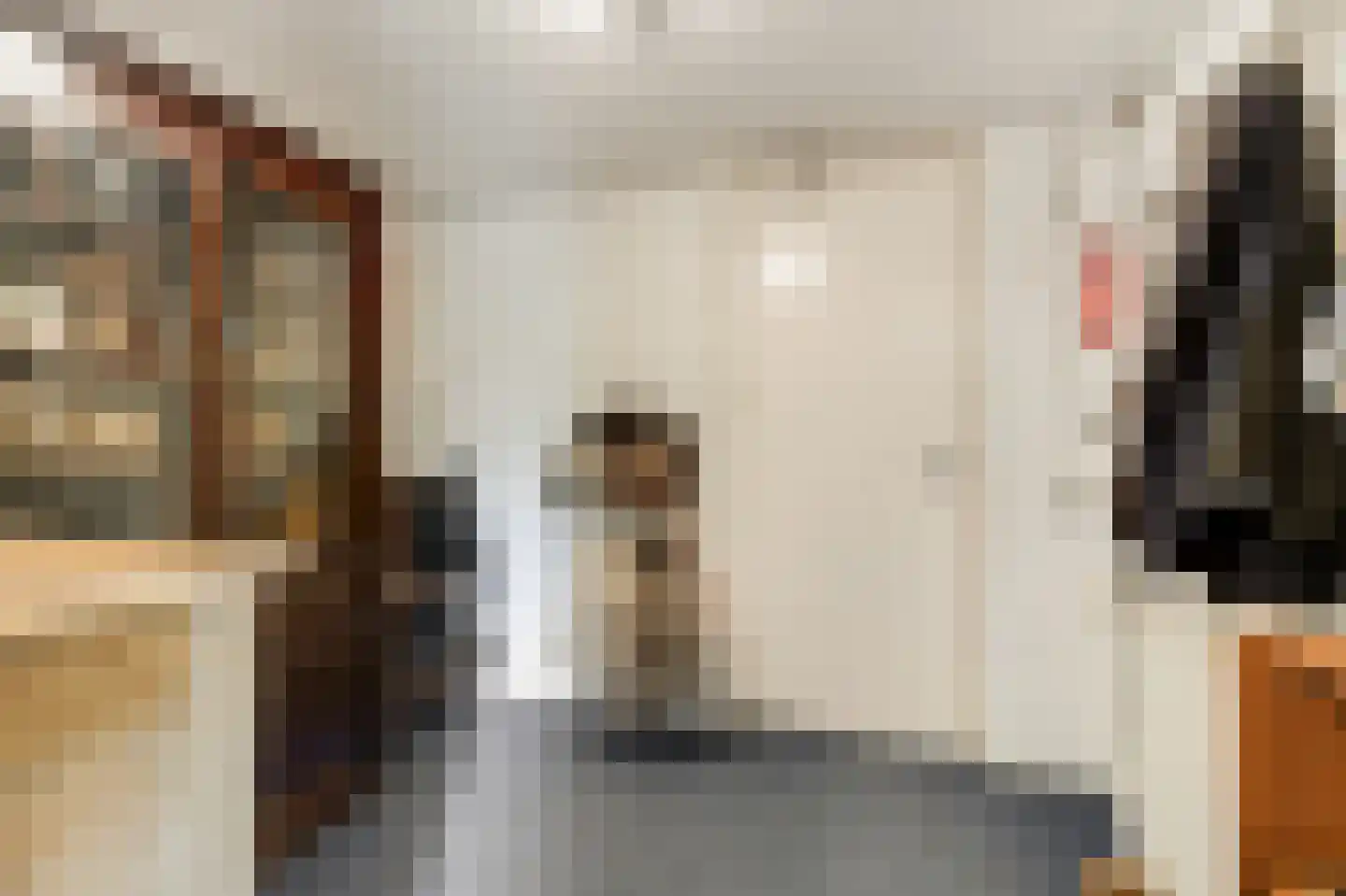 Trombonestraat 8 Duiven thumbnail 26