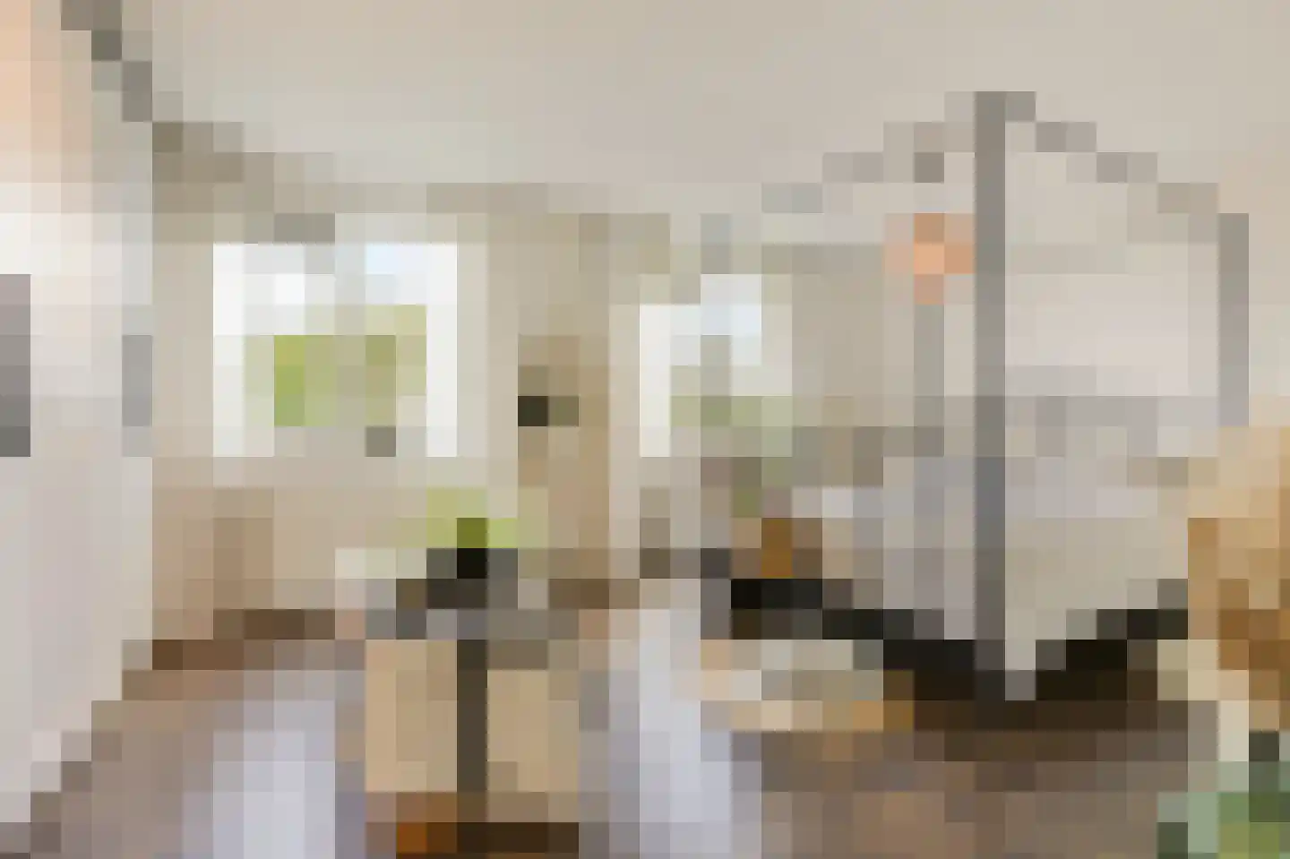 Trombonestraat 8 Duiven thumbnail 30