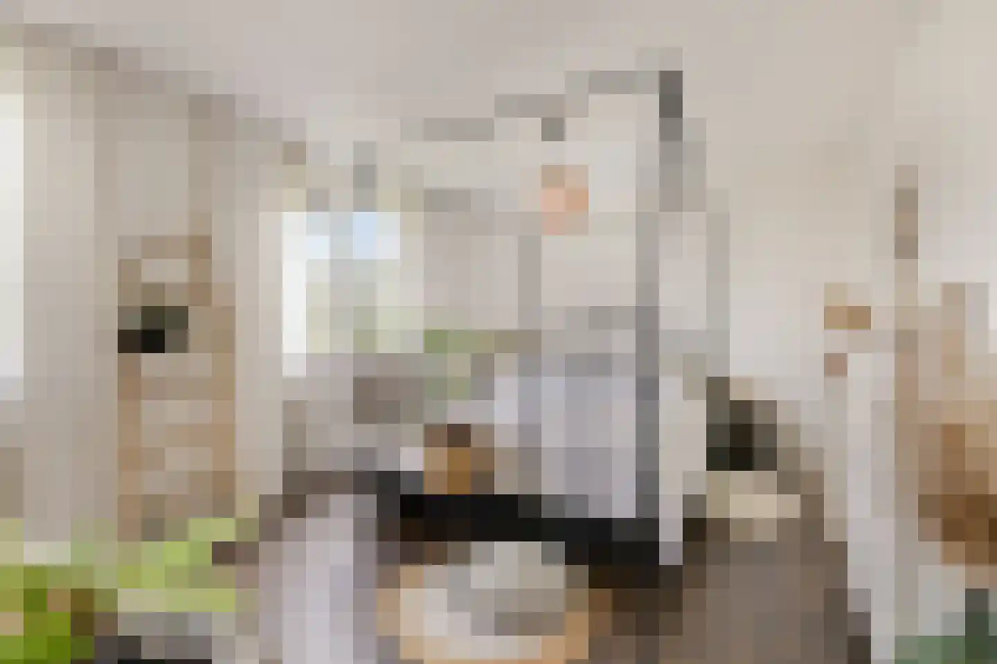 Trombonestraat 8 Duiven thumbnail 31