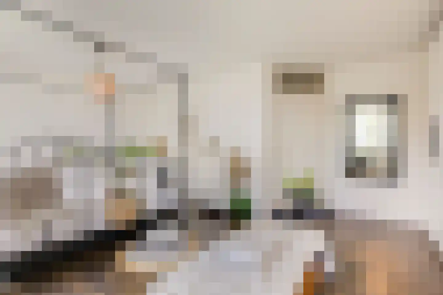 Trombonestraat 8 Duiven thumbnail 32