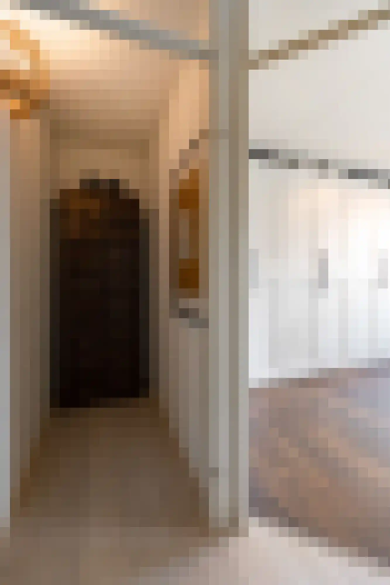 Trombonestraat 8 Duiven thumbnail 34