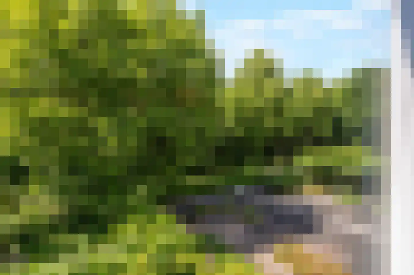 Trombonestraat 8 Duiven thumbnail 36