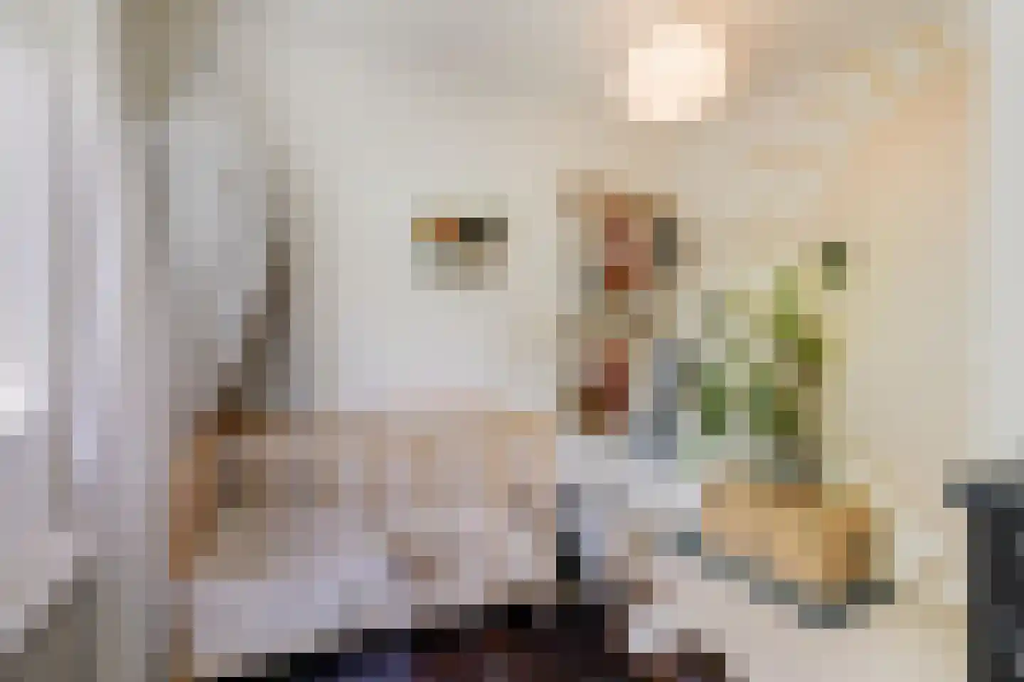 Trombonestraat 8 Duiven thumbnail 37