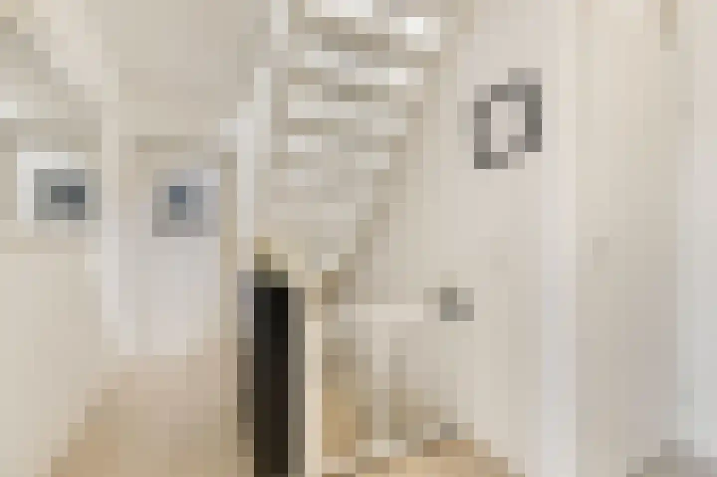 Trombonestraat 8 Duiven thumbnail 38