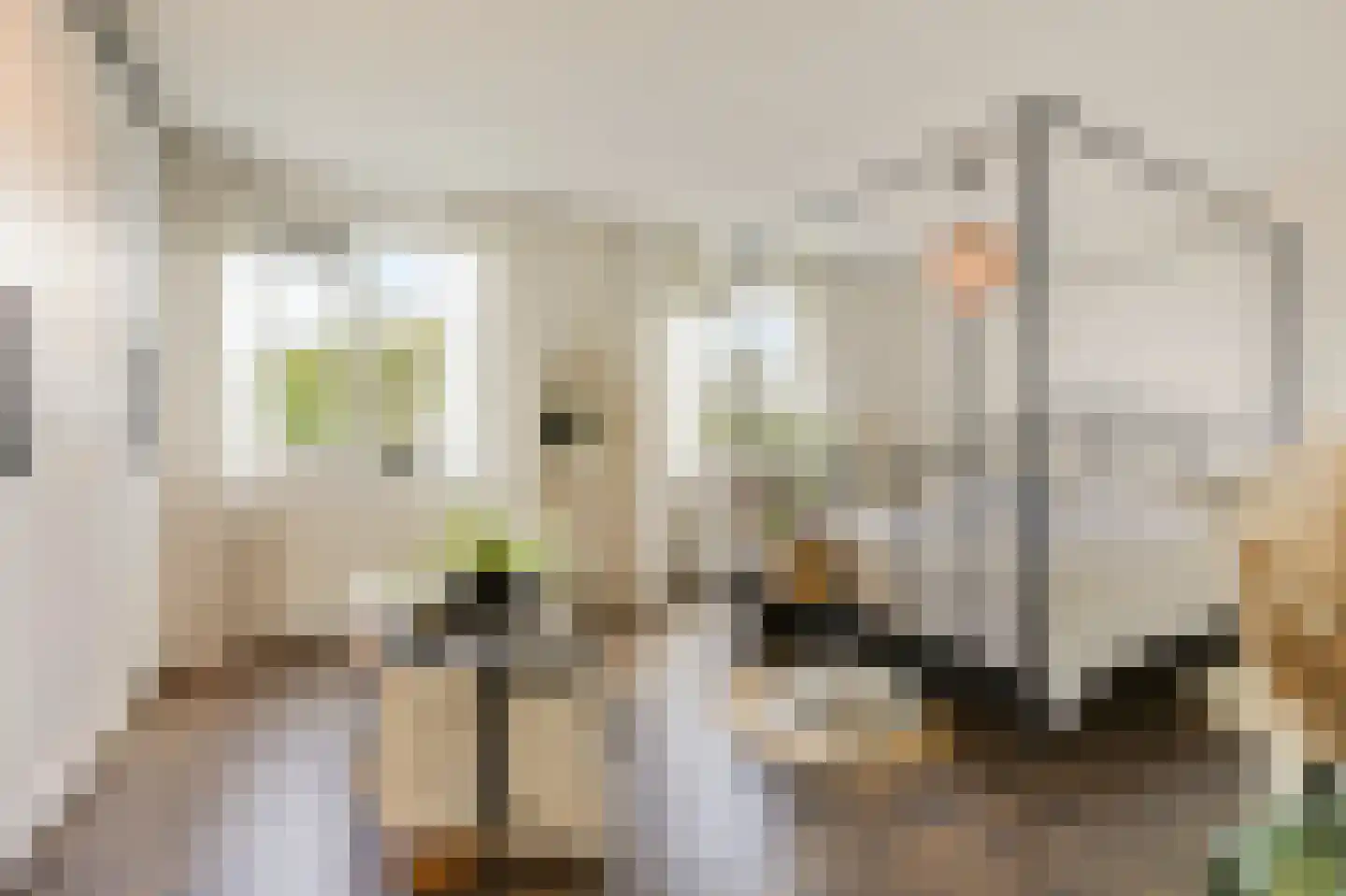 Trombonestraat 8 Duiven thumbnail 4
