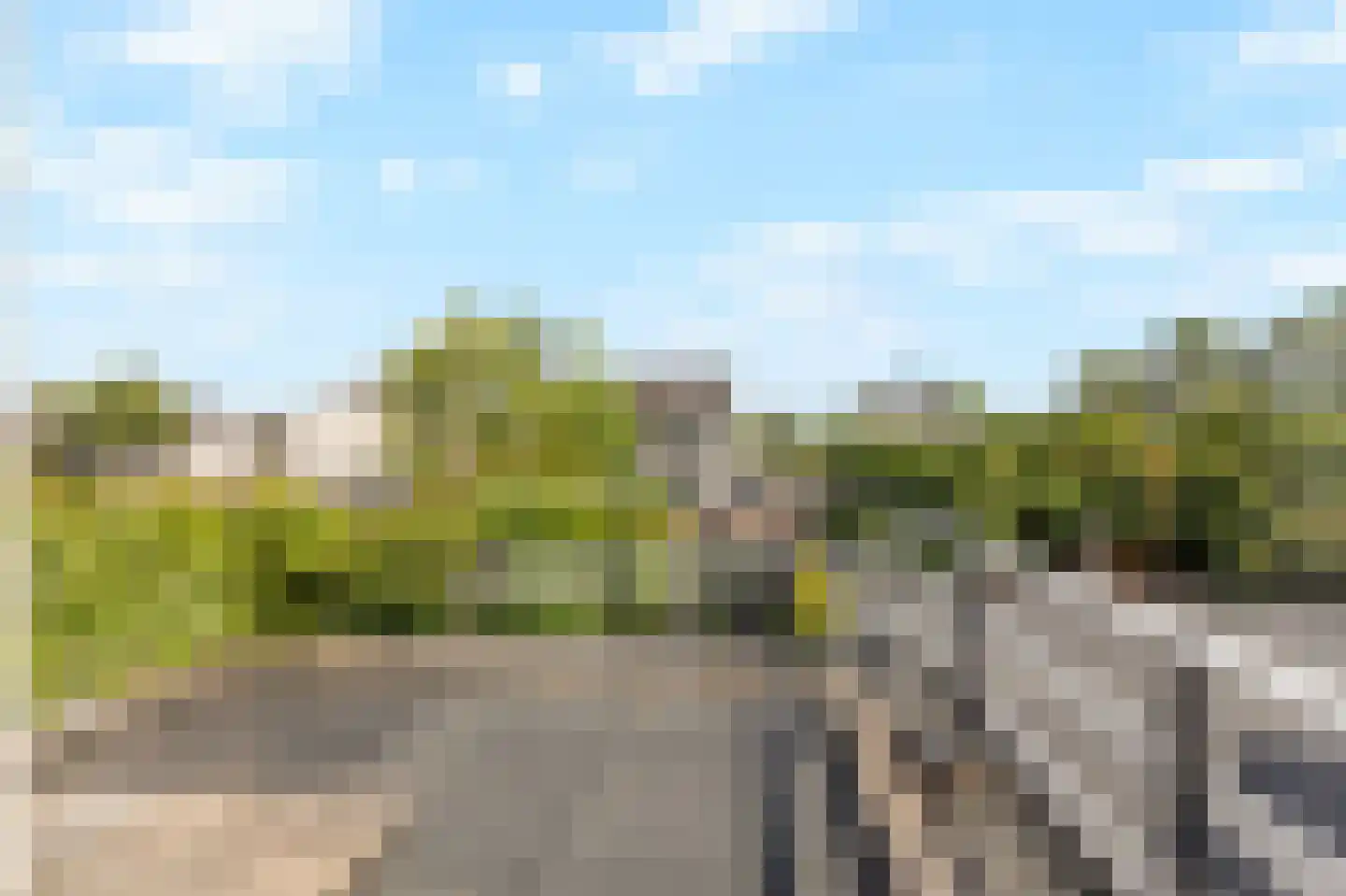 Trombonestraat 8 Duiven thumbnail 41