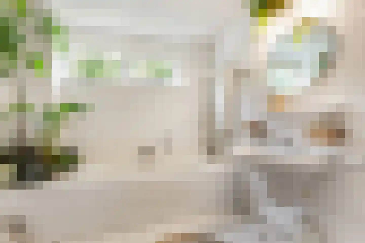 Trombonestraat 8 Duiven thumbnail 43