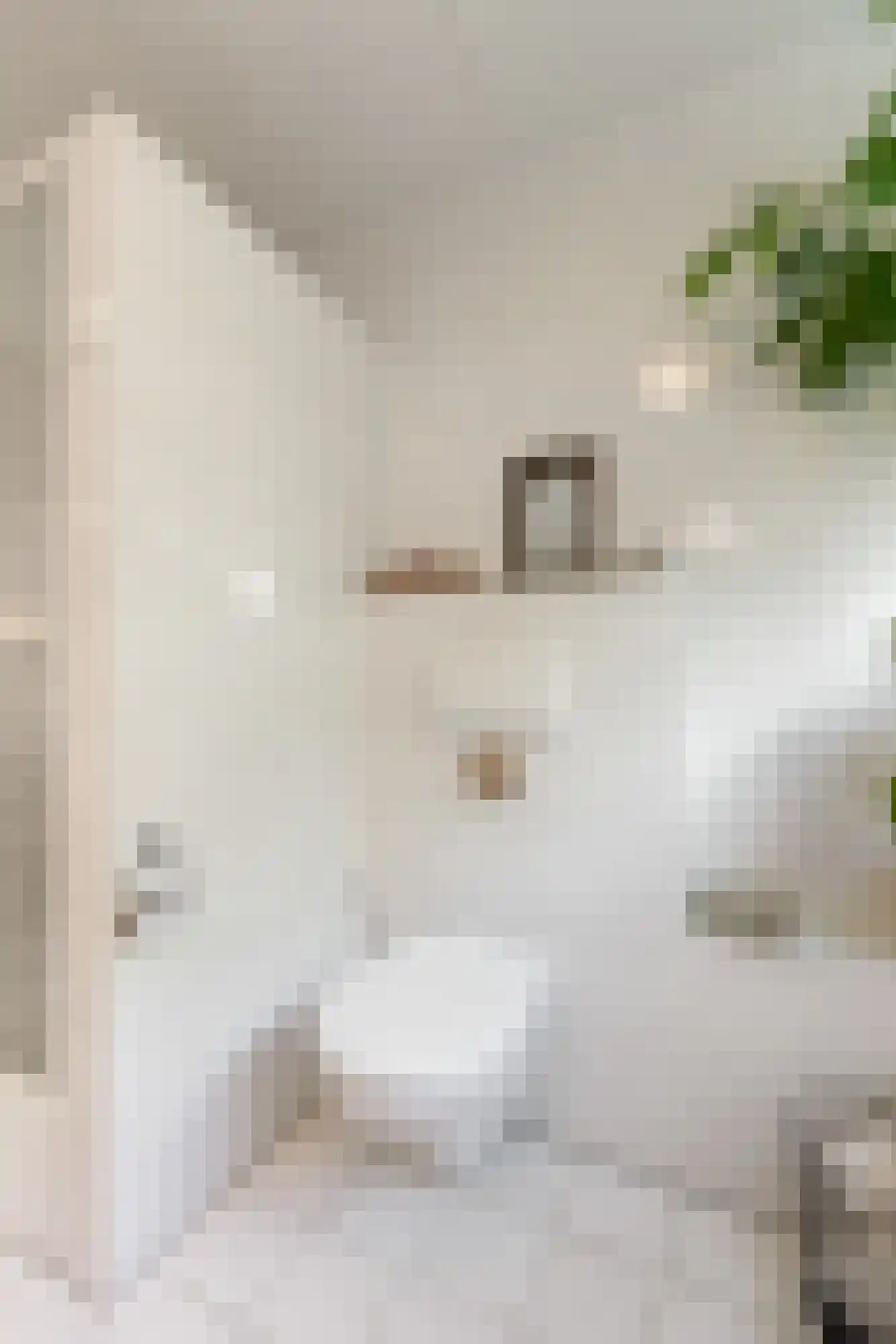 Trombonestraat 8 Duiven thumbnail 44