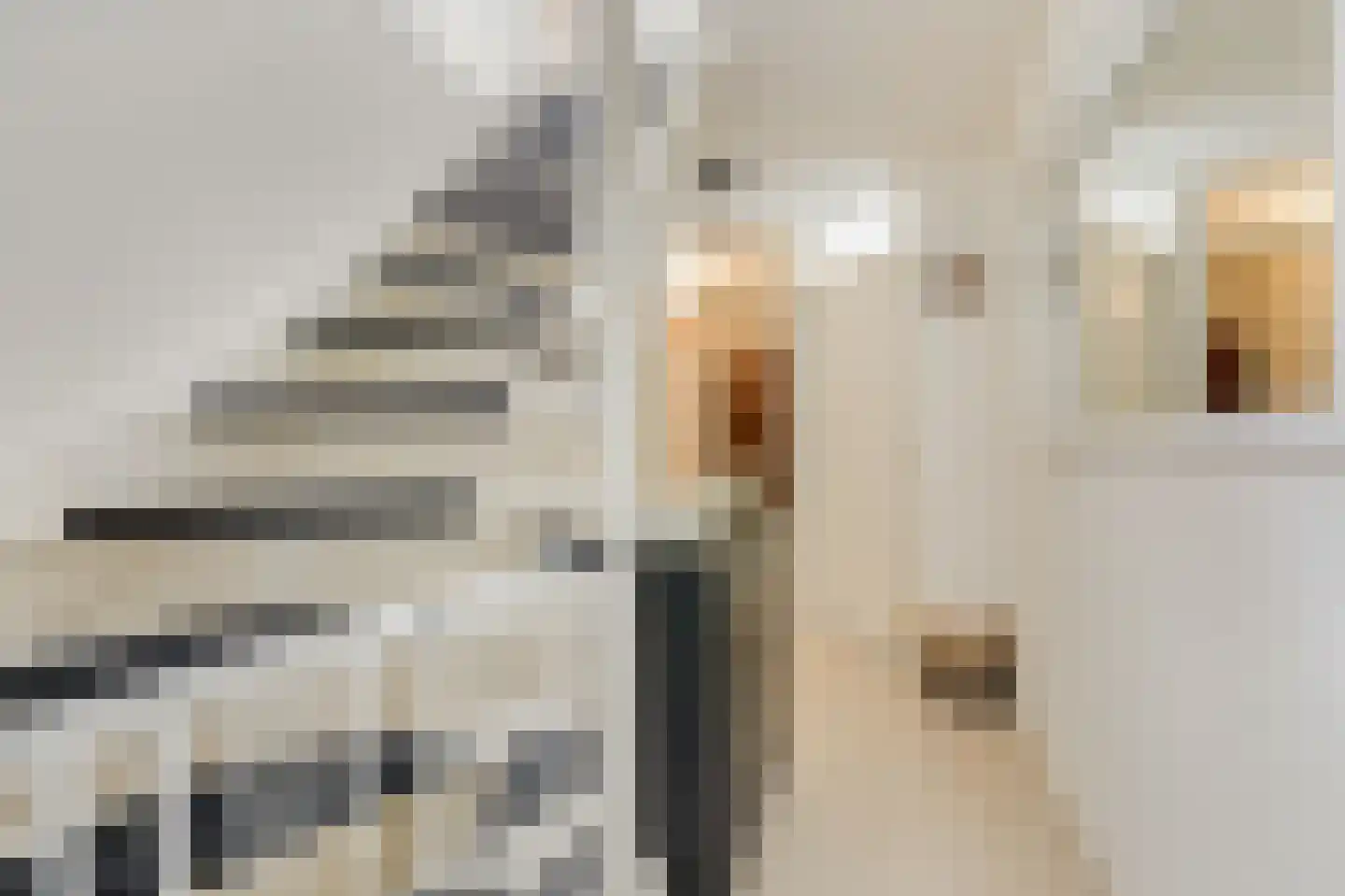 Trombonestraat 8 Duiven thumbnail 46