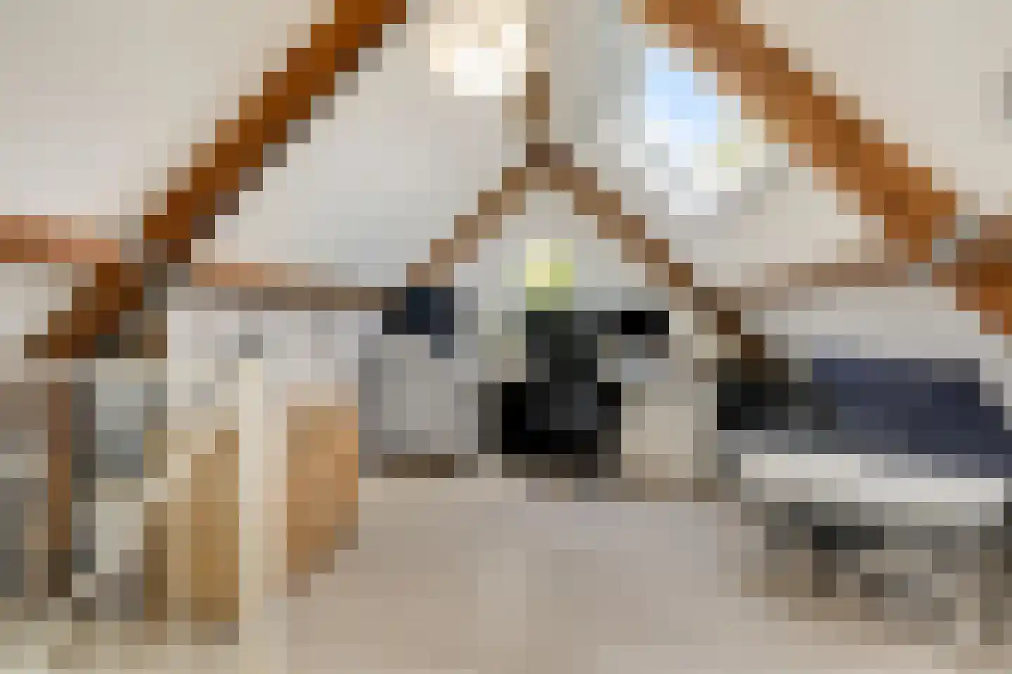 Trombonestraat 8 Duiven thumbnail 48