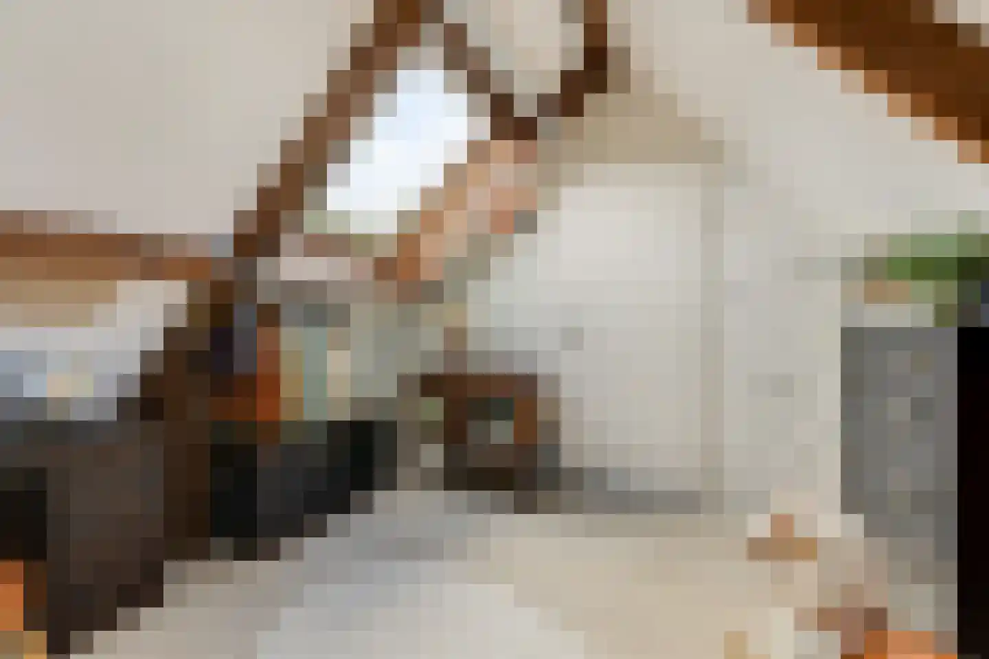 Trombonestraat 8 Duiven thumbnail 5