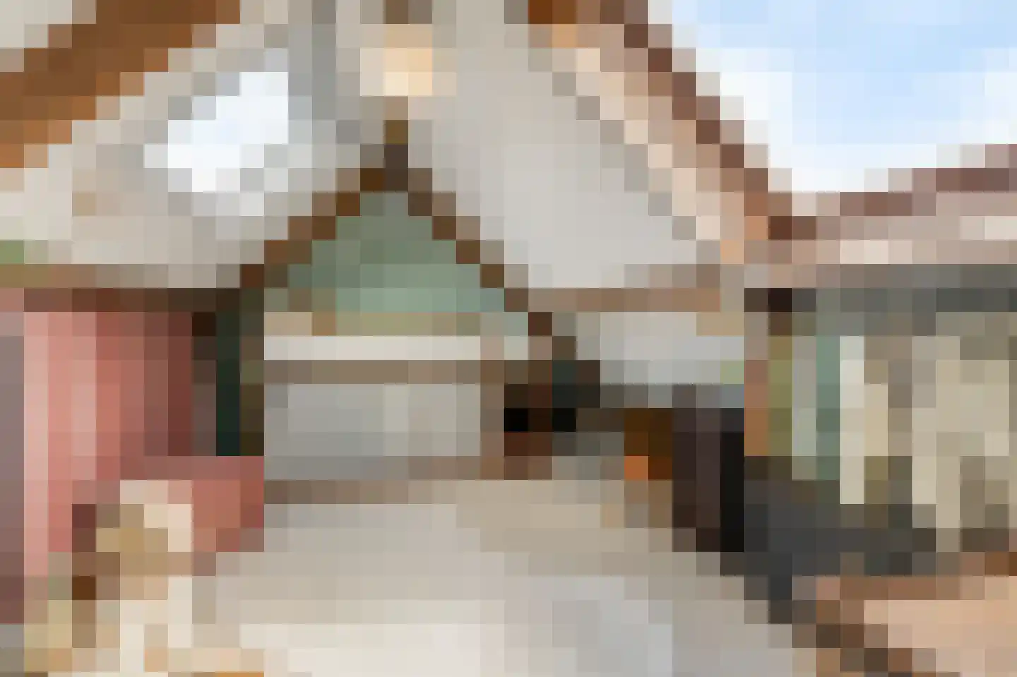 Trombonestraat 8 Duiven thumbnail 50