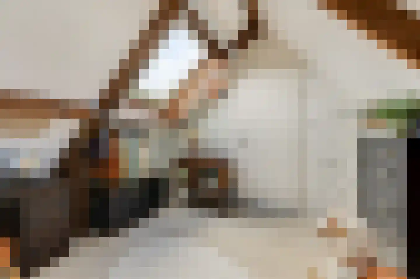 Trombonestraat 8 Duiven thumbnail 51