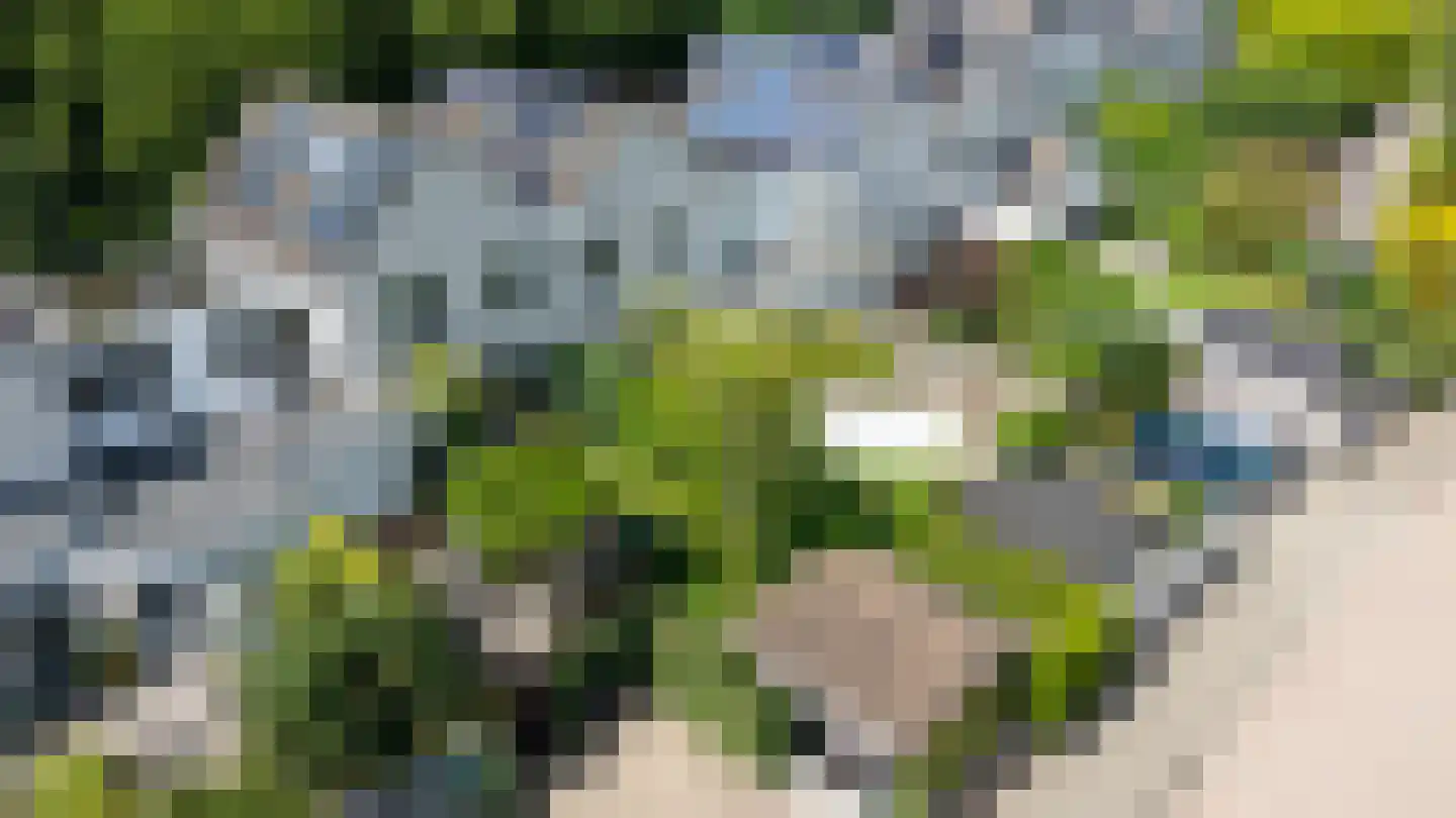 Trombonestraat 8 Duiven thumbnail 52