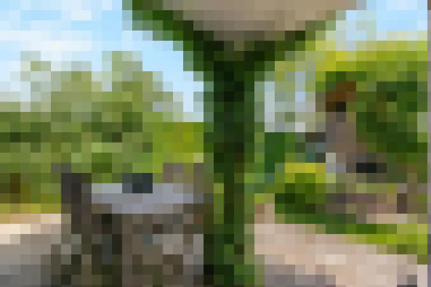 Trombonestraat 8 Duiven thumbnail 54
