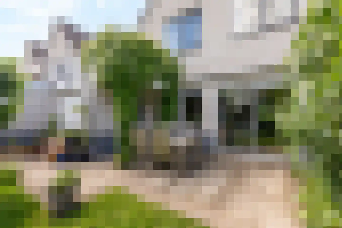 Trombonestraat 8 Duiven thumbnail 59
