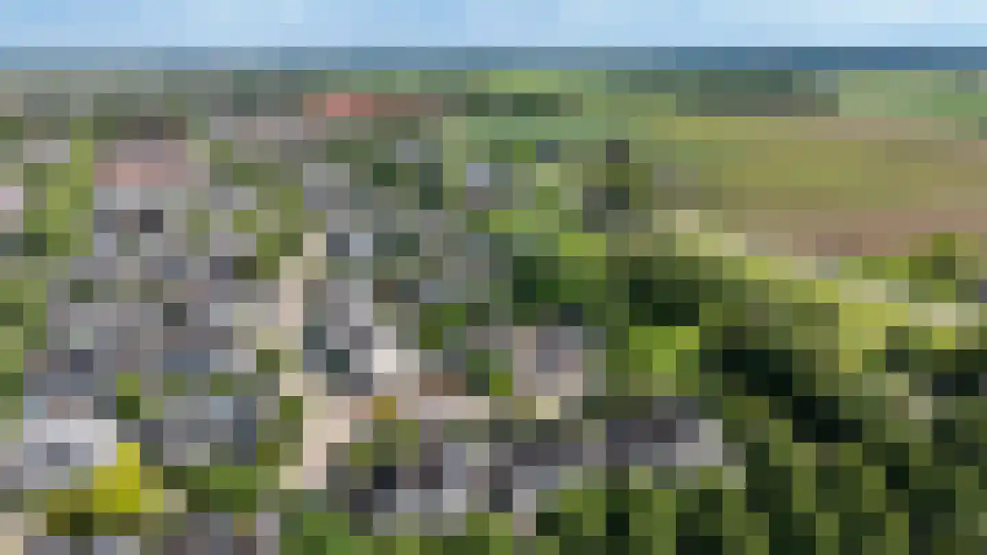Trombonestraat 8 Duiven thumbnail 6