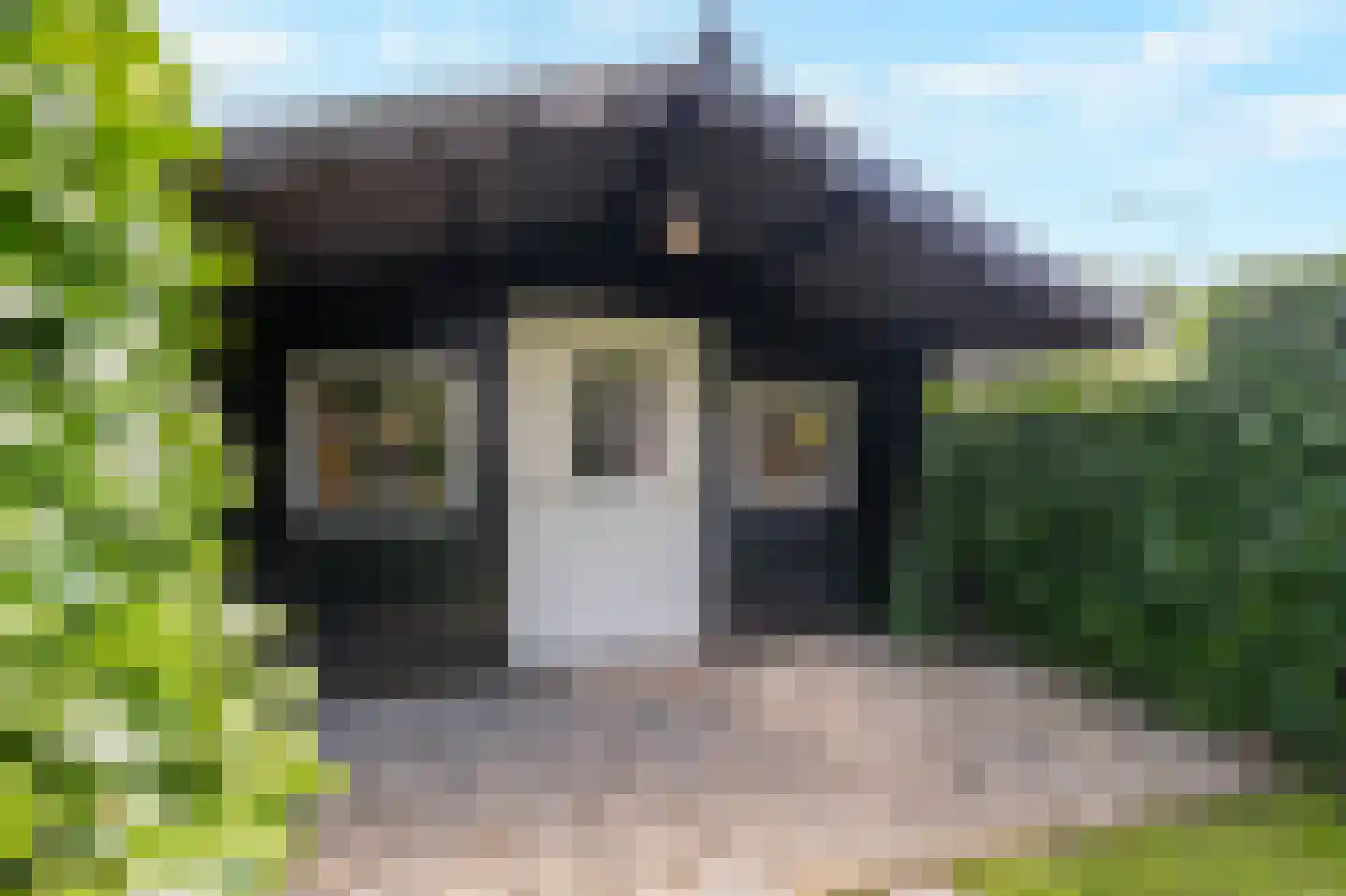 Trombonestraat 8 Duiven thumbnail 60