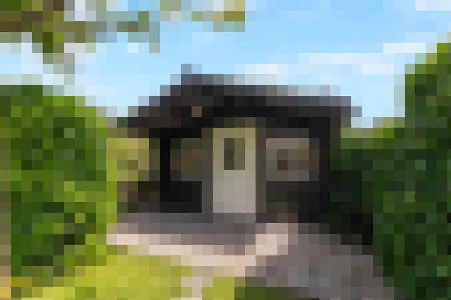 Trombonestraat 8 Duiven thumbnail 62