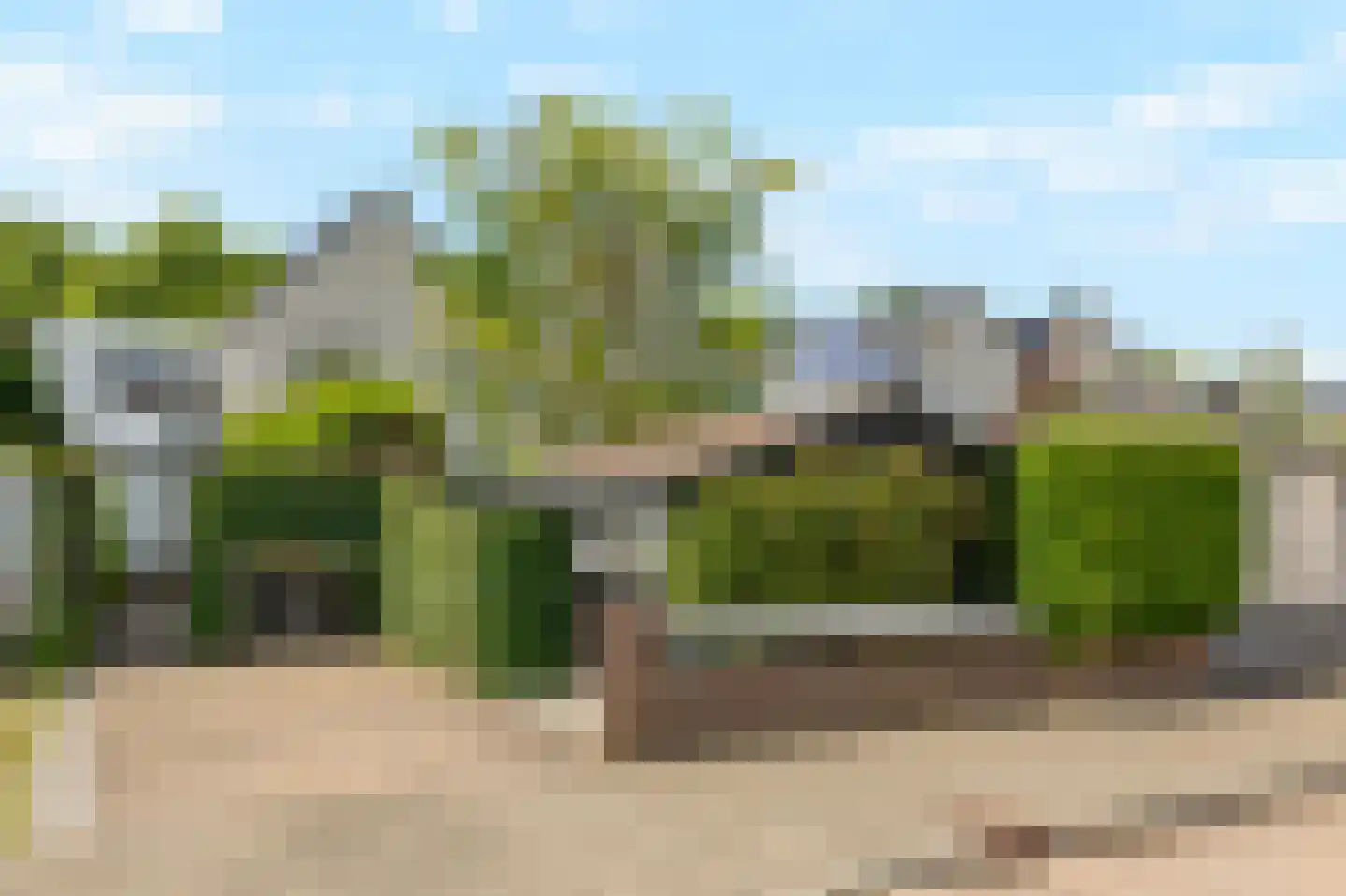 Trombonestraat 8 Duiven thumbnail 64