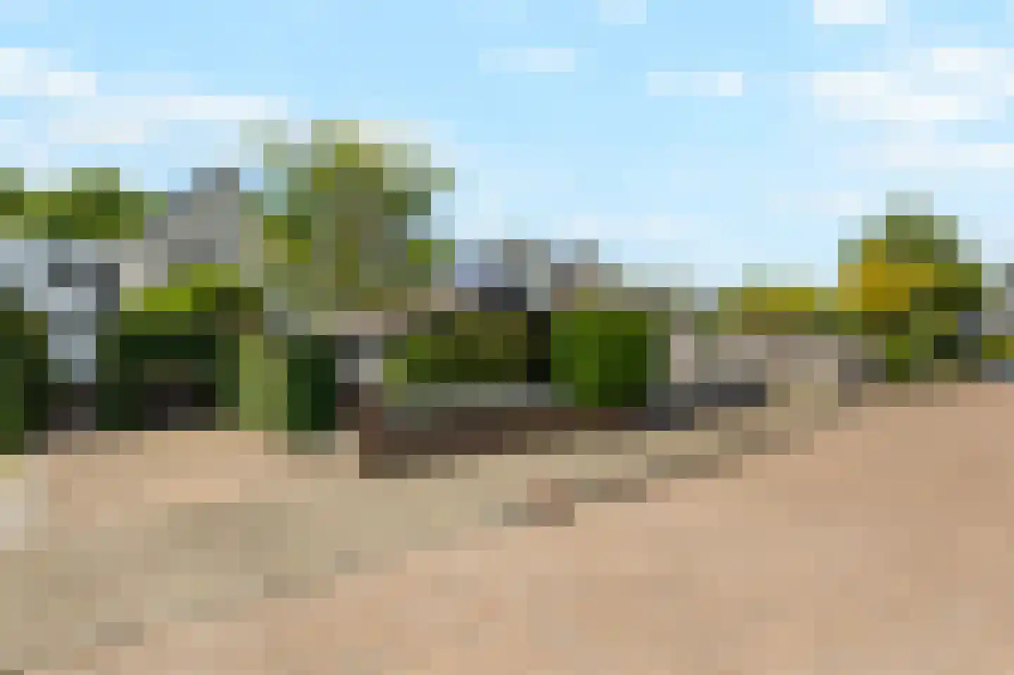 Trombonestraat 8 Duiven thumbnail 65