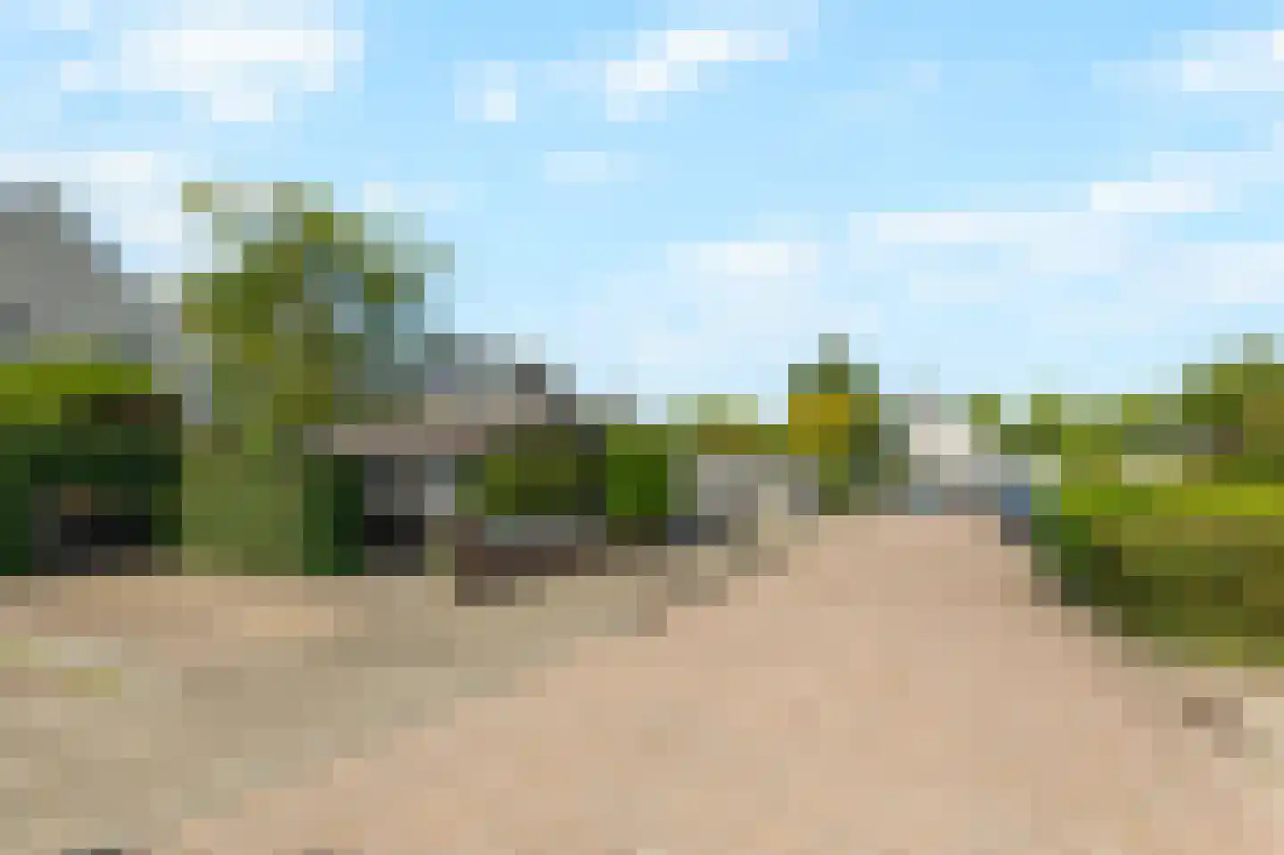 Trombonestraat 8 Duiven thumbnail 66