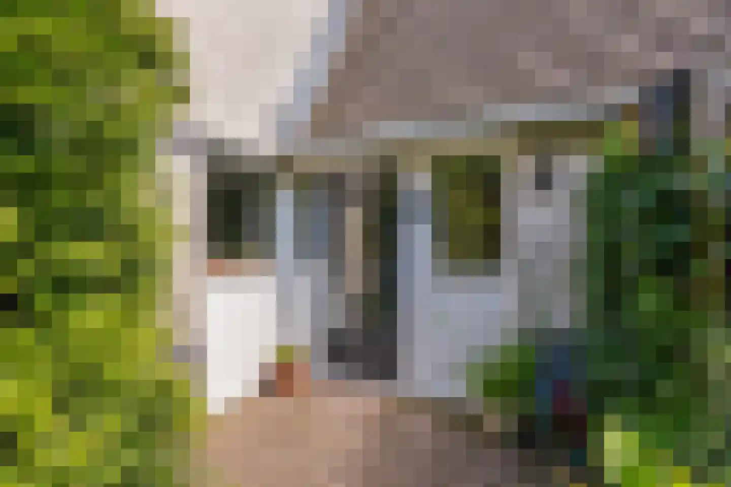 Trombonestraat 8 Duiven thumbnail 7