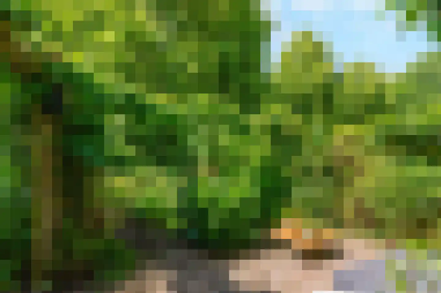 Trombonestraat 8 Duiven thumbnail 72