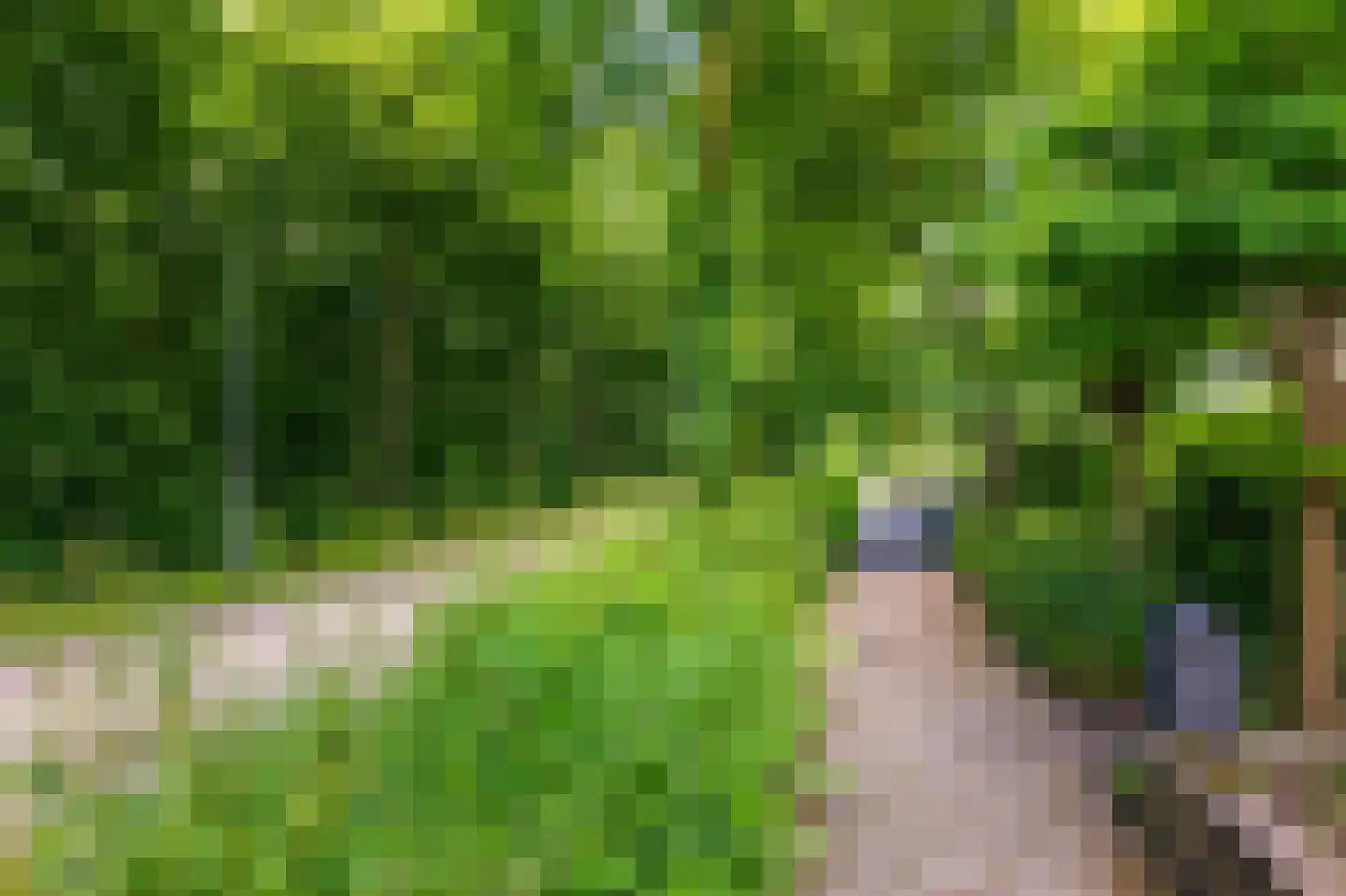 Trombonestraat 8 Duiven thumbnail 73