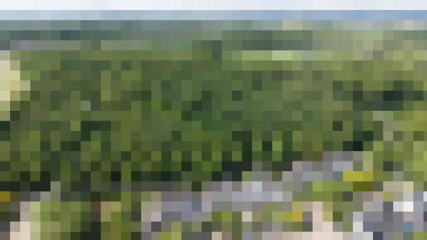 Trombonestraat 8 Duiven thumbnail 75
