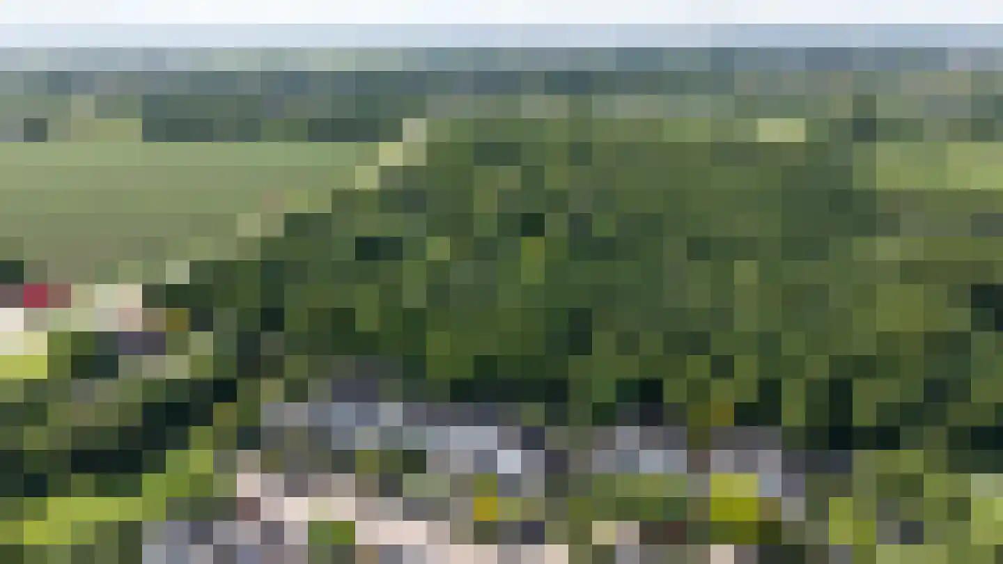 Trombonestraat 8 Duiven thumbnail 76