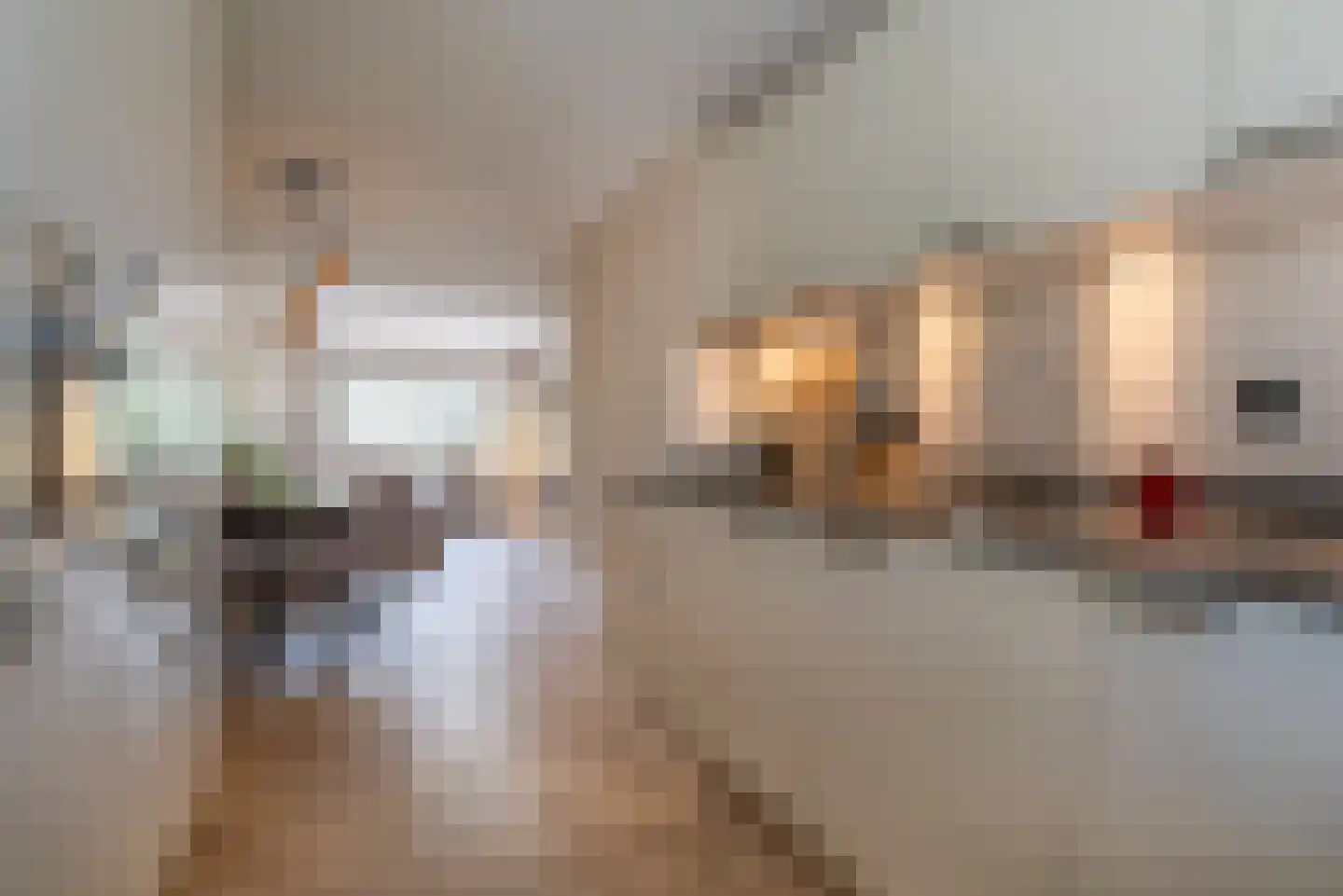Trommelaar 33 Veenendaal thumbnail 10