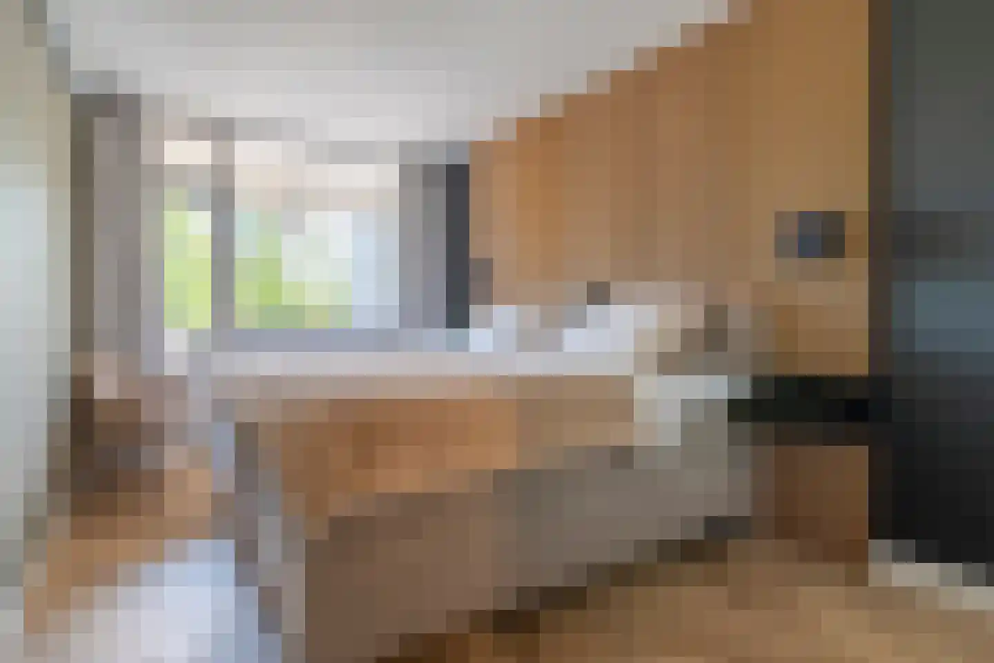 Trommelaar 33 Veenendaal thumbnail 11