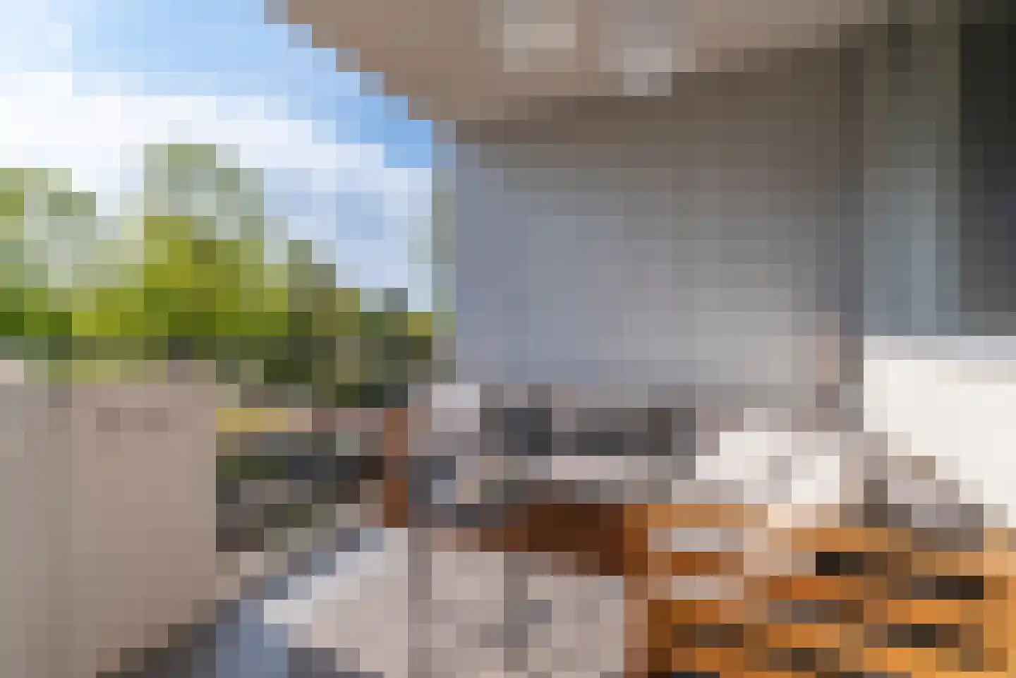 Trommelaar 33 Veenendaal thumbnail 16