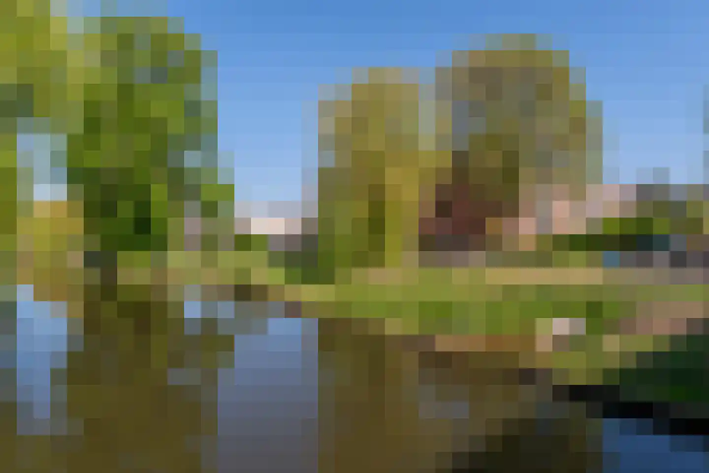 Trommelaar 33 Veenendaal thumbnail 18