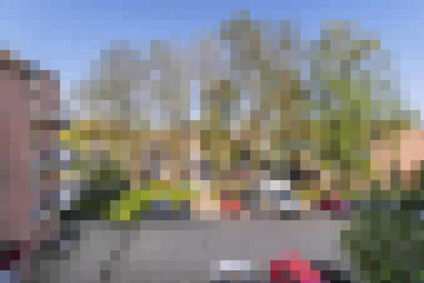 Trommelaar 33 Veenendaal thumbnail 20