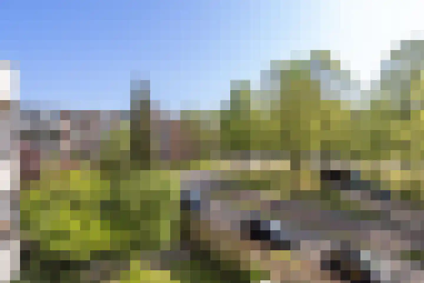 Trommelaar 33 Veenendaal thumbnail 22