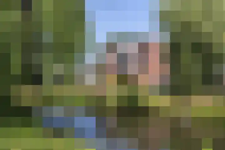 Trommelaar 49 Veenendaal