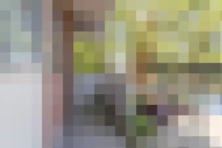 Trommelaar 49 Veenendaal thumbnail 13
