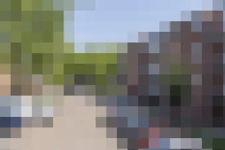 Trommelaar 49 Veenendaal thumbnail 17